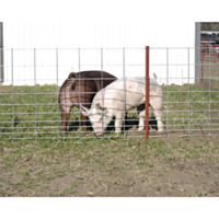 OK Brand Select Hog 34" x 16", 11 Line Panel