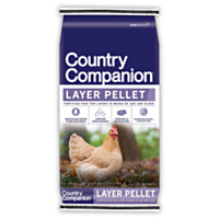 Country Companion Layer Pellet Feed, 50 lbs. Bag
