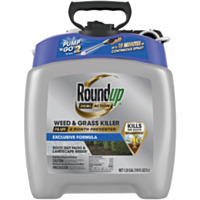 Roundup Dual Action Pump 'N Go 1.33 Gal. Wand Sprayer Weed & Grass Killer