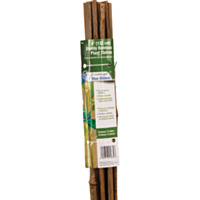Gardener's Blue Ribbon 4 Ft. Bamboo Plant Stake (12-Pack)