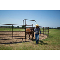 Priefert® Utility Walk Thru Panel, 12'