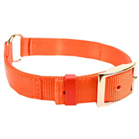Scott Pet Treated Nylon Field Collar with Reflexite