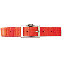 Scott Pet Hot Orange Fluorescent Field Collar with Reflexite