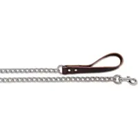 Scott Pet Medium Weight 48" Chain with Lead Handle