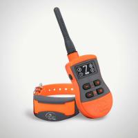 SportDOG Sporttrainer® 875
