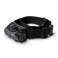 D.T. Systems Bark BOSS Bark Control Collar