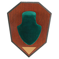 ALLEN® Antler Mounting Kit, Green Skull Cover