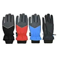 Grand Sierra Boy's 13-18 Ski Glove