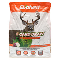 Evolved 5 Card Draw Food Plot Seed, 10 lbs.