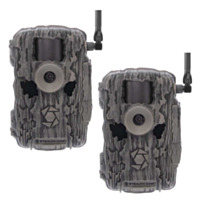 Stealth Cam Fusion X-Pro Cellular Trail Cameras, 2 pack