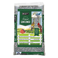 Country View Striped Sunflower, 4 lbs.