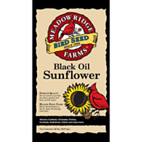 Black Oil Sunflower, 20 lbs.