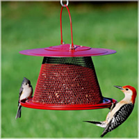 No/No® Red Cardinal Bird Feeder