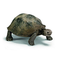 Schleich® Giant Tortoise