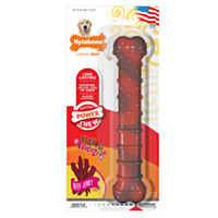 Nylabone® Power Chew Textured Bone Dog Chew Toy