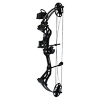 Bear Archery Shootout RTH - Right Handed