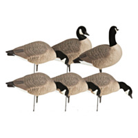 Avery HS Canada Goose Harvester Decoys, 6 pack