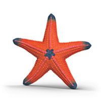 Schleich Starfish (color change) Toy Figurine