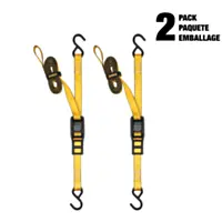 DEWALT Cam-Buckle Straps Tie-Downs, 2-Pack, 1" x 12', 1,500 lbs.