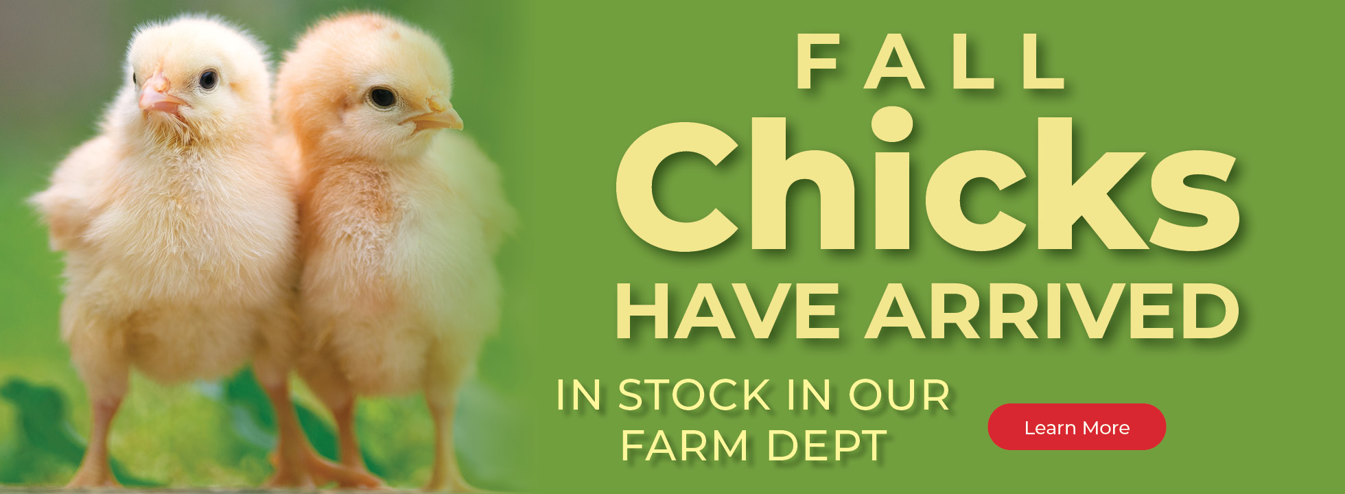 Fall Chicks Have Arrived. In Stock In Our Farm Dept. Learn More.