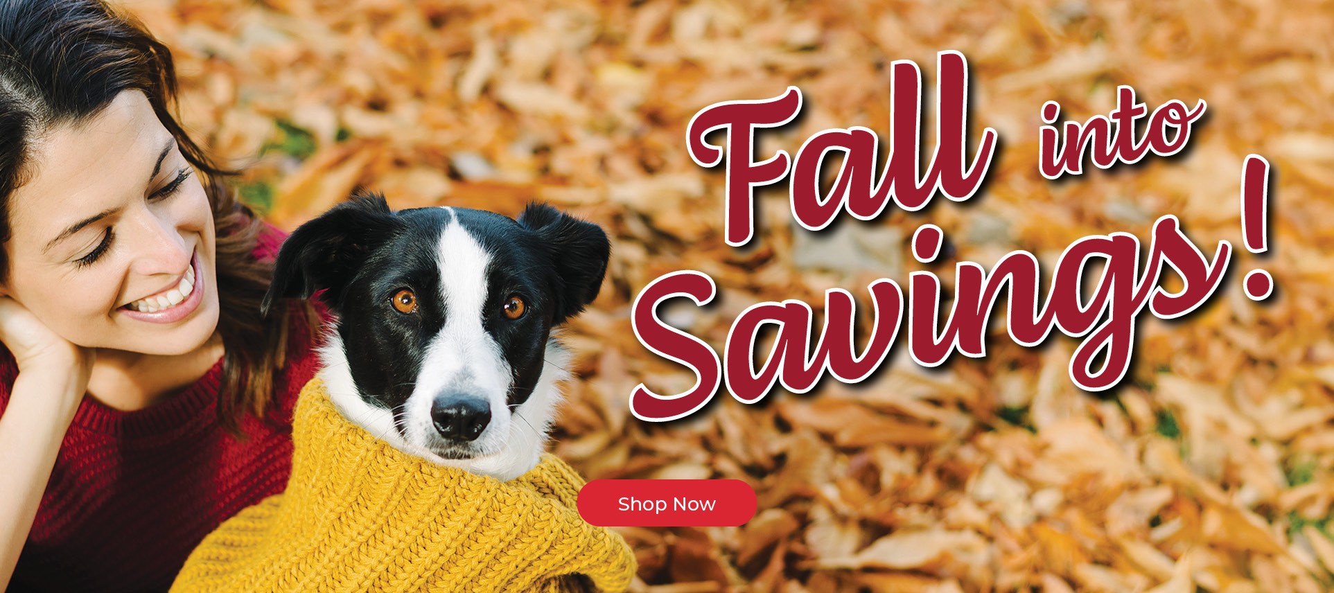 Fall Into Savings! Shop Now.
