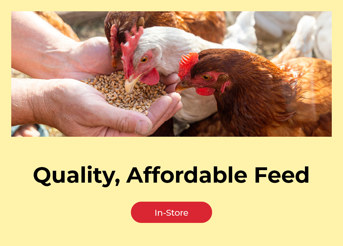 Quality affordable feed. Shop now.