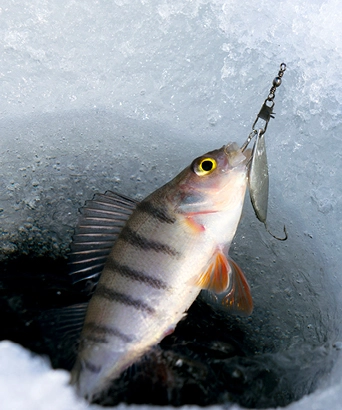 running store deerfield